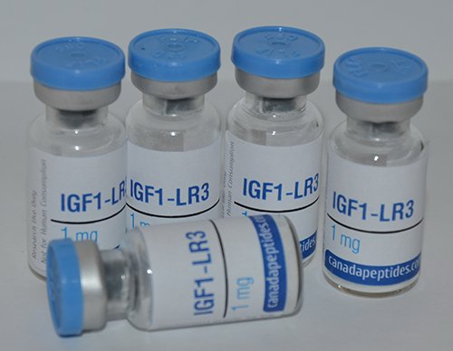 IGF-1