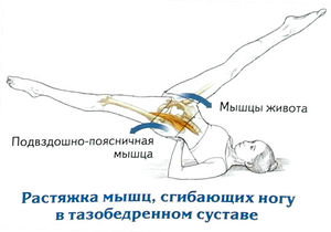 Растяжка мышц, сгибающих ногу в тазобедренном суставе
