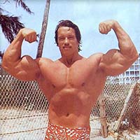Арнольд Шварценеггер (Arnold Schwarzenegger)